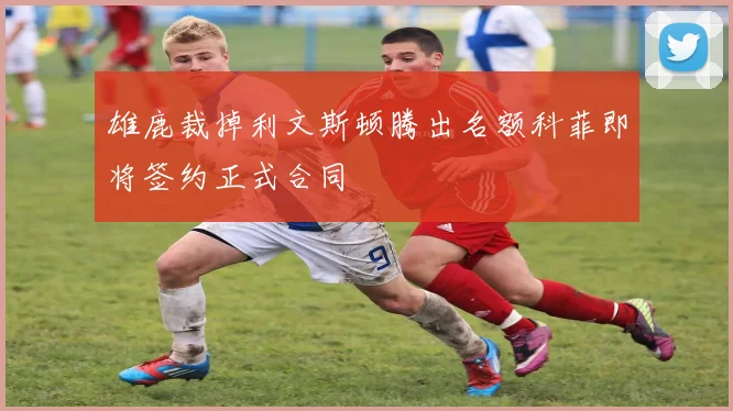 雄鹿裁掉利文斯顿腾出名额科菲即将签约正式合同