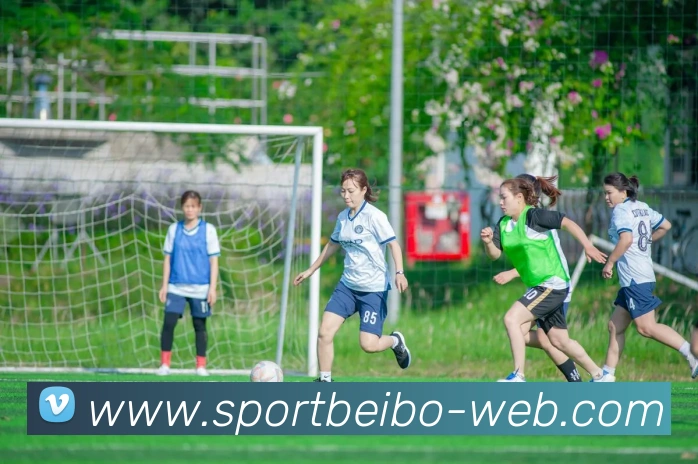 贝博体育APP 封面图